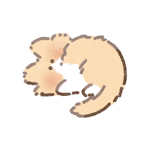 Small cat